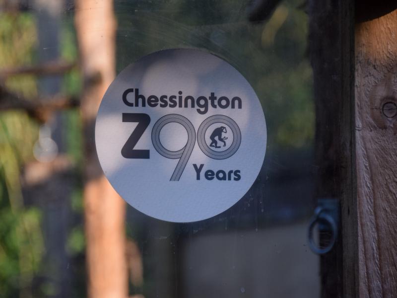 Chessington Zoo Turns 90 Years Old
